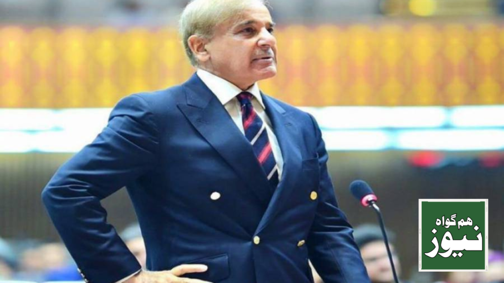 شہباز شریف کو پاکستان کا وزیراعظم منتخب کیا گیا۔