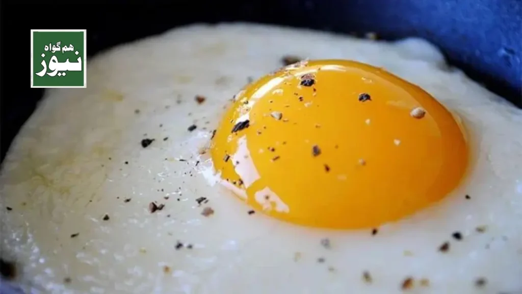 روزانہ 2 انڈے کھانے سے صحت پر کیا اثرات مرتب ہوتے ہیں