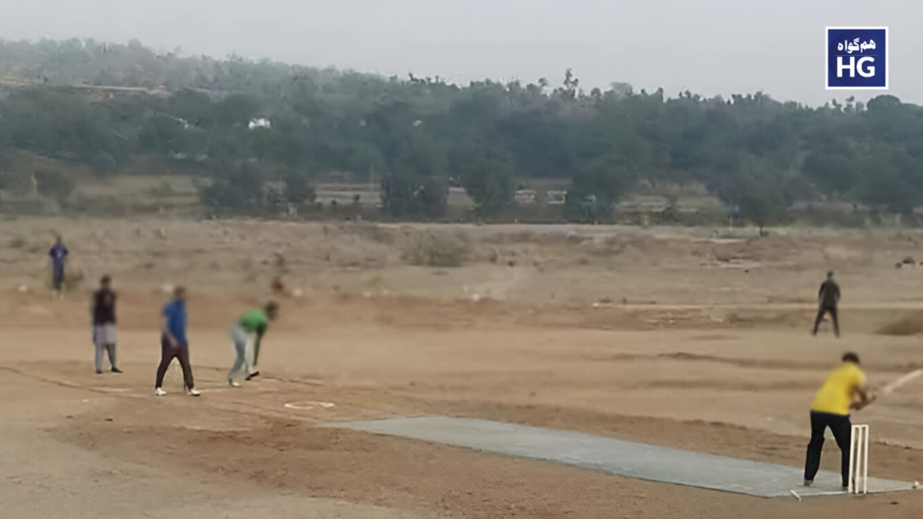 During the cricket match, sticks, bricks and weapons were used in the fight, many people were injured